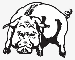 How To Set Use Boar Svg Vector