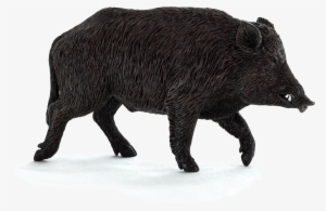 Wild Boar Toys