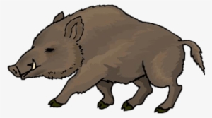 Boar Drawing - Wild Boar Clip Art