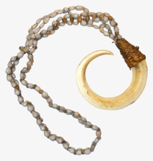 Papua New Guinea, Bena-bena Tribe, Boar Tusk On A String - Papua New Guinea Boar Tusk