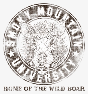 Media Design - Wild Boar