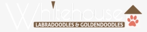 Whitehouse Australian Labradoodles And Goldendoodles - Labradoodle