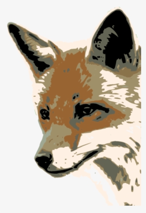 164 × 240 Pixels - Fox Face