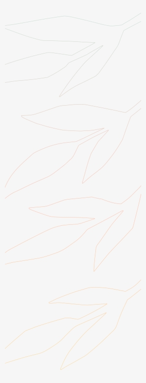 Sketch
