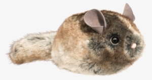 Douglas Toys - Camilla Chinchilla - Douglas 4127 Camilla Chinchilla