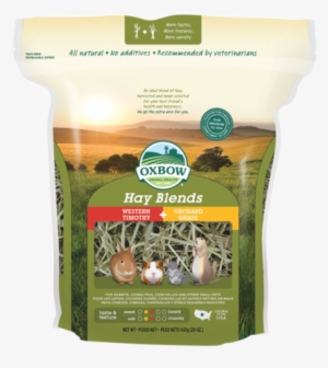 Small Animal Chinchilla - Oxbow Hay Blends