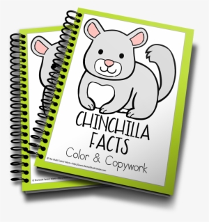 Chinchilla - Minecraft Stationery