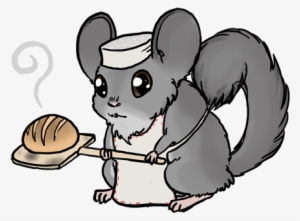 Baker Chinchilla - Chinchilla