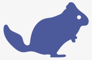 Chinchilla-2 V=1490131702 - Cage