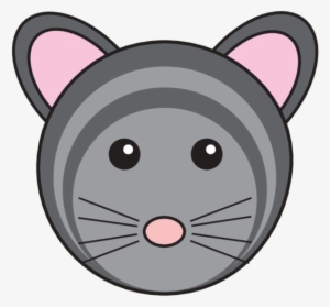 Animaru Chinchilla - Cat