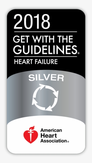 News - 2018 Get With The Guidelines Stroke