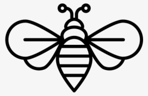 Bee Vector - Free Bee Vector
