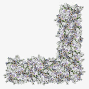 Border Nature Divider Flower Flower Floral Interesting - Scraps Png