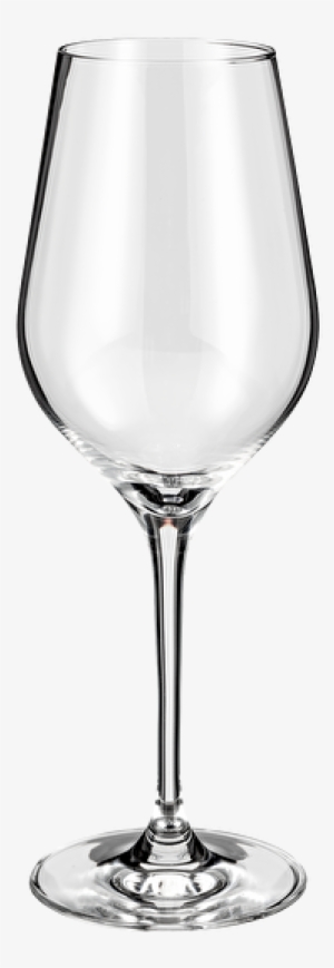 Judge Glassware White Wine Glasses - Copa De Agua