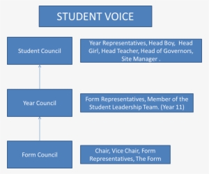Court Moor Student Voice - Student Court