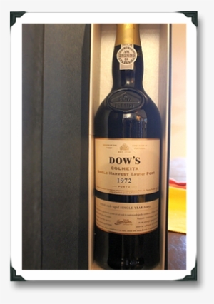 Drake Bell In Amanda Shows