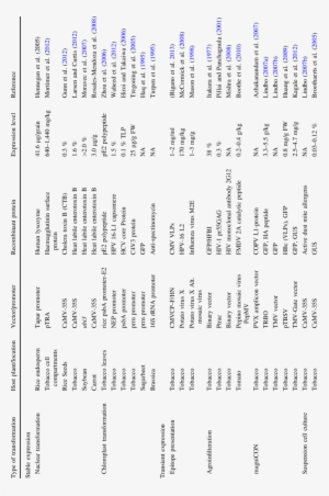 Comparison Of Stable And Transient Expression Systems - Transient Expression