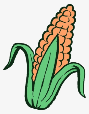 This Process Continues, With The Slightly Taller Plants