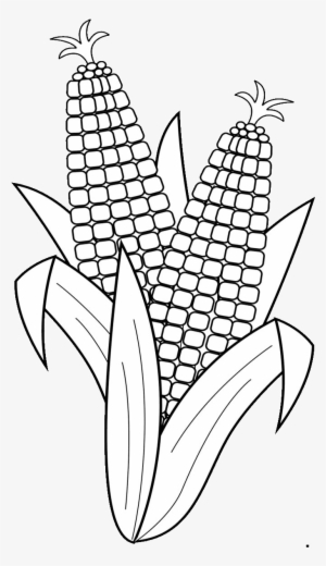 19 Corn Clip Black And White Drawing Huge Freebie Download - Fruits And Vegetables Clipart Black And White