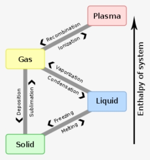 Label The Indicated Parts In This Diagram Of A Chloroplast - Phase Transition