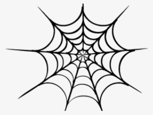 Spider Web Vector Png