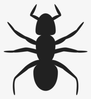 Shadow Clipart Spider - Ant Clip Art