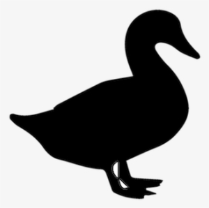 Southern Maryland Duck Producers - Duck Layer Vector Silhouette