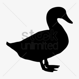 Free Download Duck Silhouette Clip Art Clipart Duck - Silhouette Duck