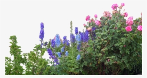 Flowers Garden - Overstock.com Monticello Black Mojave Greenhouse (8x16)