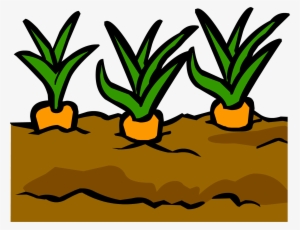 Garden - Garden Club Penguin Wikia