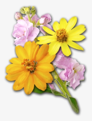 Rock Hill, Sc Garden Center - Artificial Flower