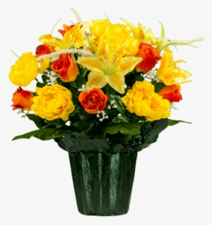 Orange Roses