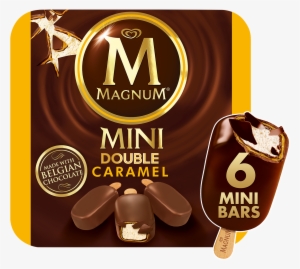 Magnum Mini Ice Cream