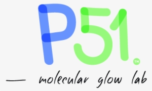 Discover Dna Structure Hands-on - Website