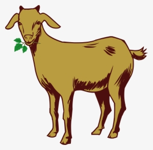 Goat Png Images - Goat Vector Png