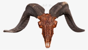 Carved Ram Skull - Skull