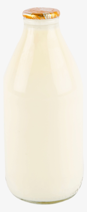 Gold Bottle - Bottle