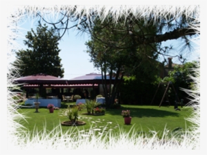 For - Ristorante Al Trono Di Attila