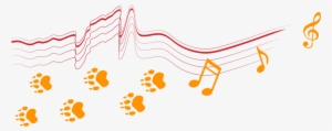 Music Notes And Tiger Paws