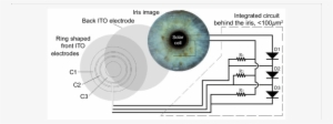 Schematic Of The Electrical Circuit Principal Behind - H Bridge