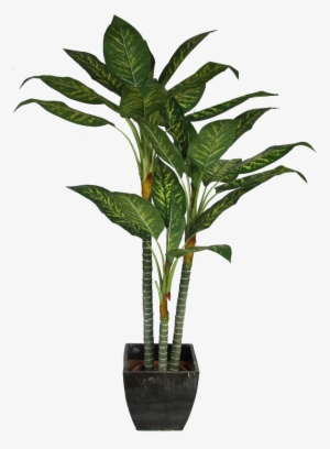 Office Plant Png For Kids - Plant Cut Out Png