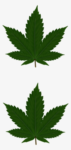 Marijuana Leaf Design Png