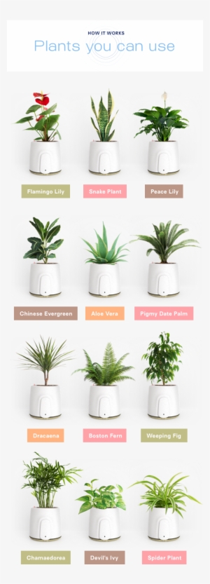 Air Purifier To Add An Extra Touch Of Design To Your - Portable Network Graphics