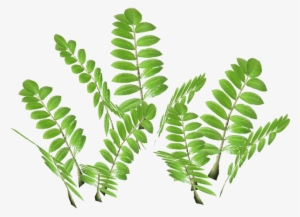 Bohemian Rhapsody - Illustration