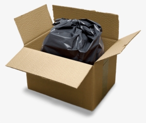 How Should You Package Your Specimens For Shipment - Open Box