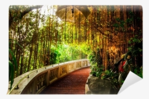 Stair Way In Park With Gold Light Wall Mural • Pixers® - Photograph
