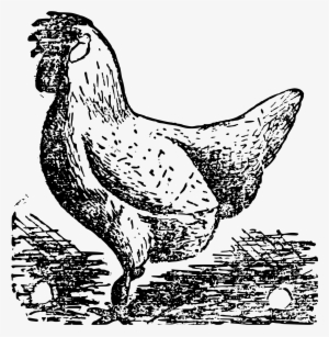 This Free Icons Png Design Of Iâr