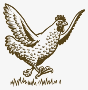 Why Choose Frenz Free Range Eggs - Chicken