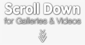 Scroll-down Scroll Down - Emblem