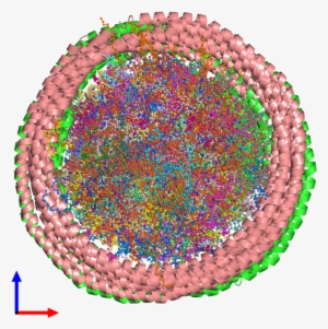Pdb 2msc Coloured By Chain And Viewed From The Front - Circle